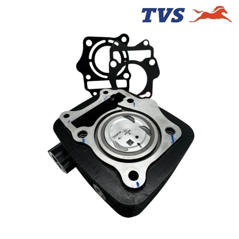 TVS Raider 125 Silindir Komple Orijinal