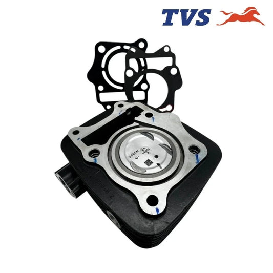 TVS Raider 125 Silindir Komple Orijinal