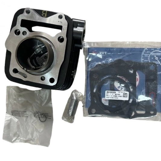 TVS Raider 125 Silindir Set Orijinal