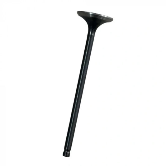 TVS Raider 125 Subap Egzoz Orijinal